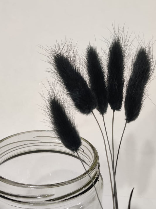 Bunny Tails Black colour Packs of 5