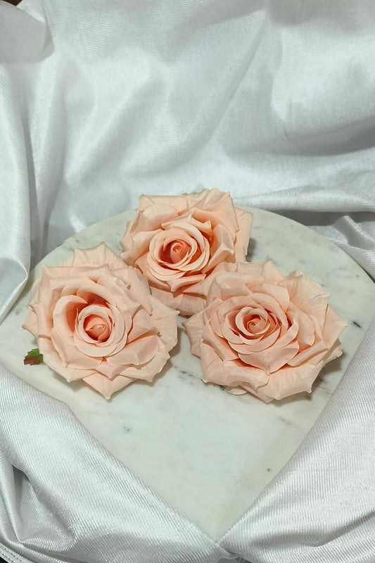 Big Peach Rose 5480B