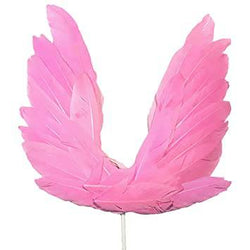 Pink Feather 10 Inch
