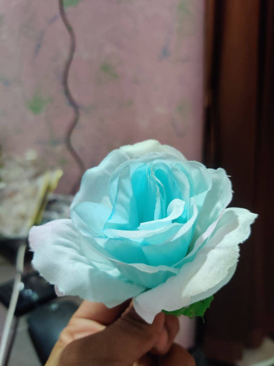 Big Rose Flower