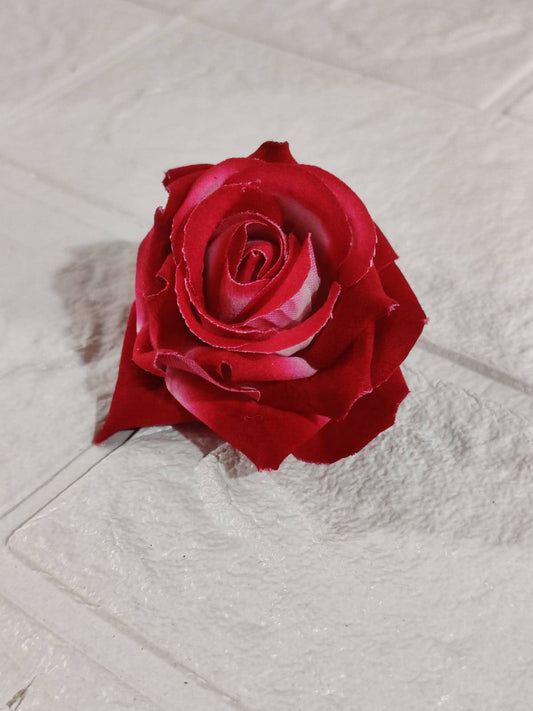 Premium Rose flower