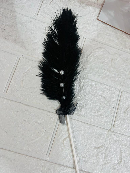 Ostrich feathers  Black