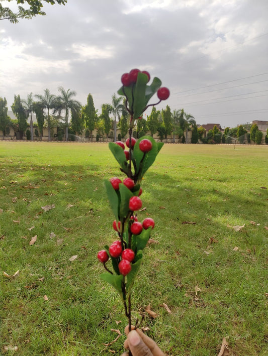 Red Cherry Stem