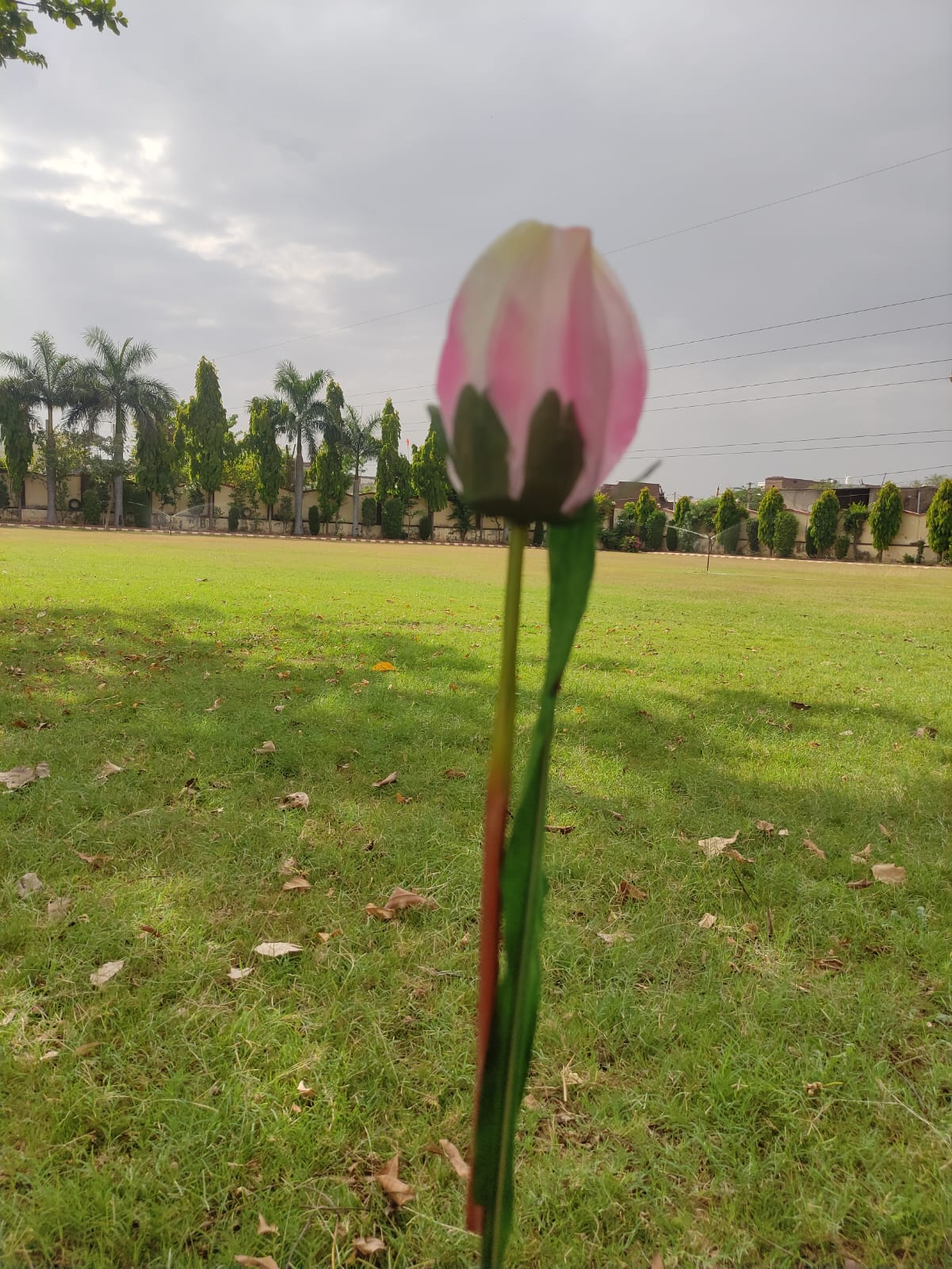 Artificial Tulip Flower